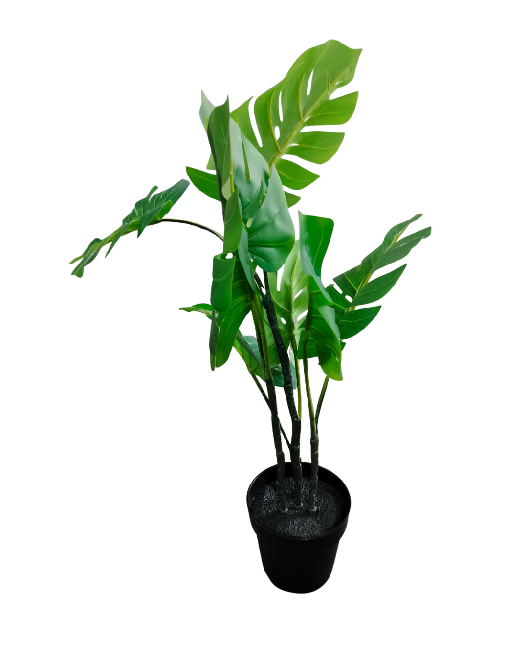 Artificial Plant For Deco