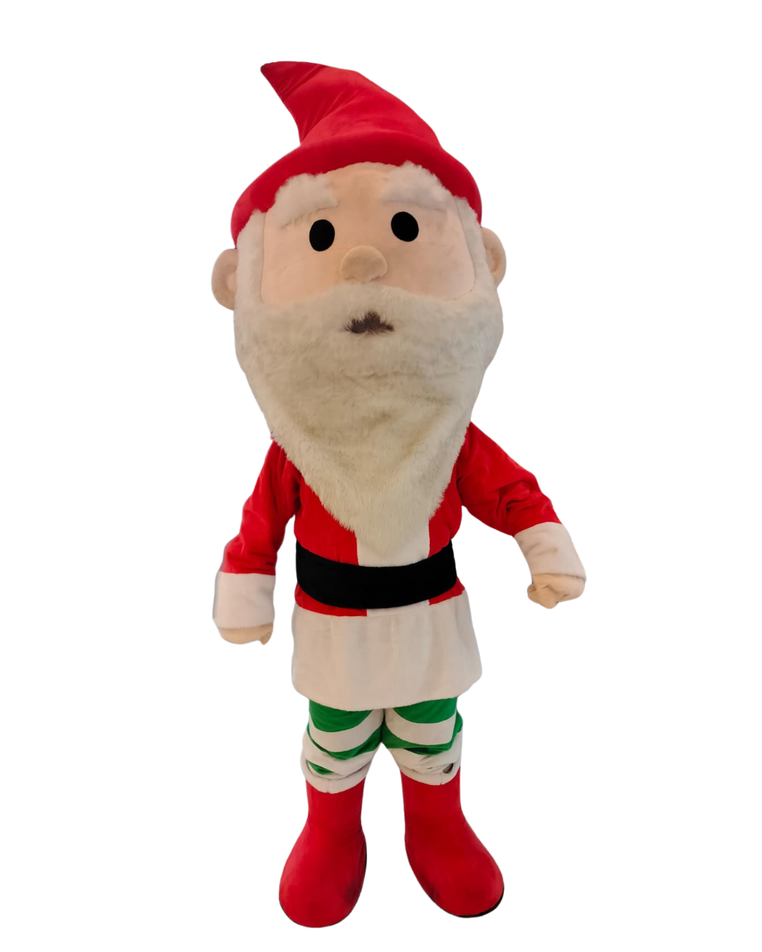 Santa Claus Mascot