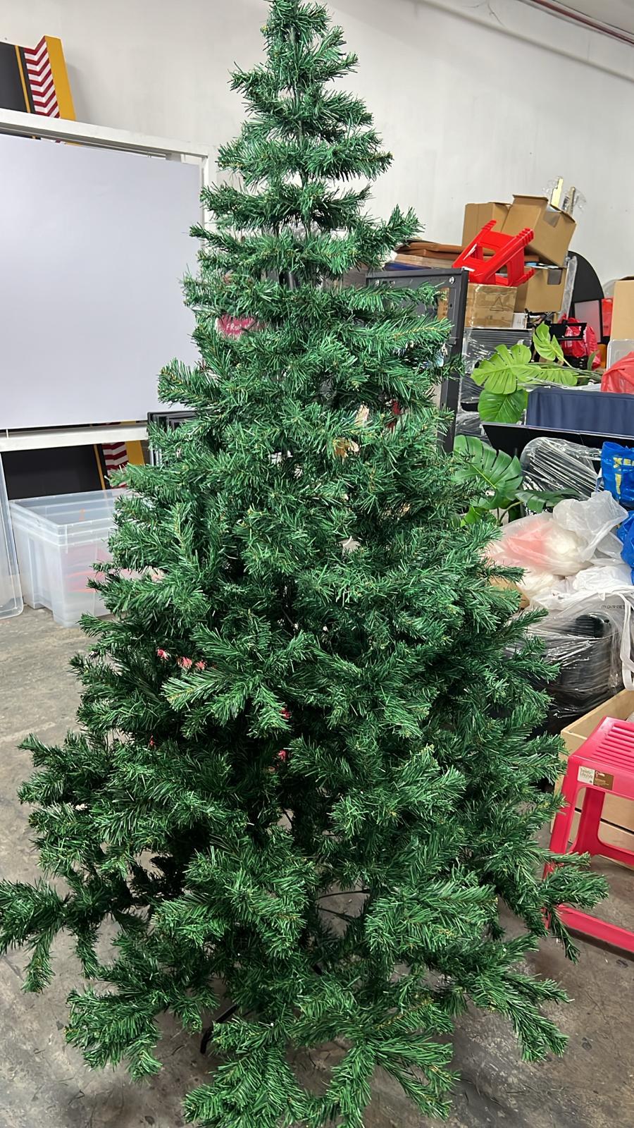Christmas Tree (Plain)