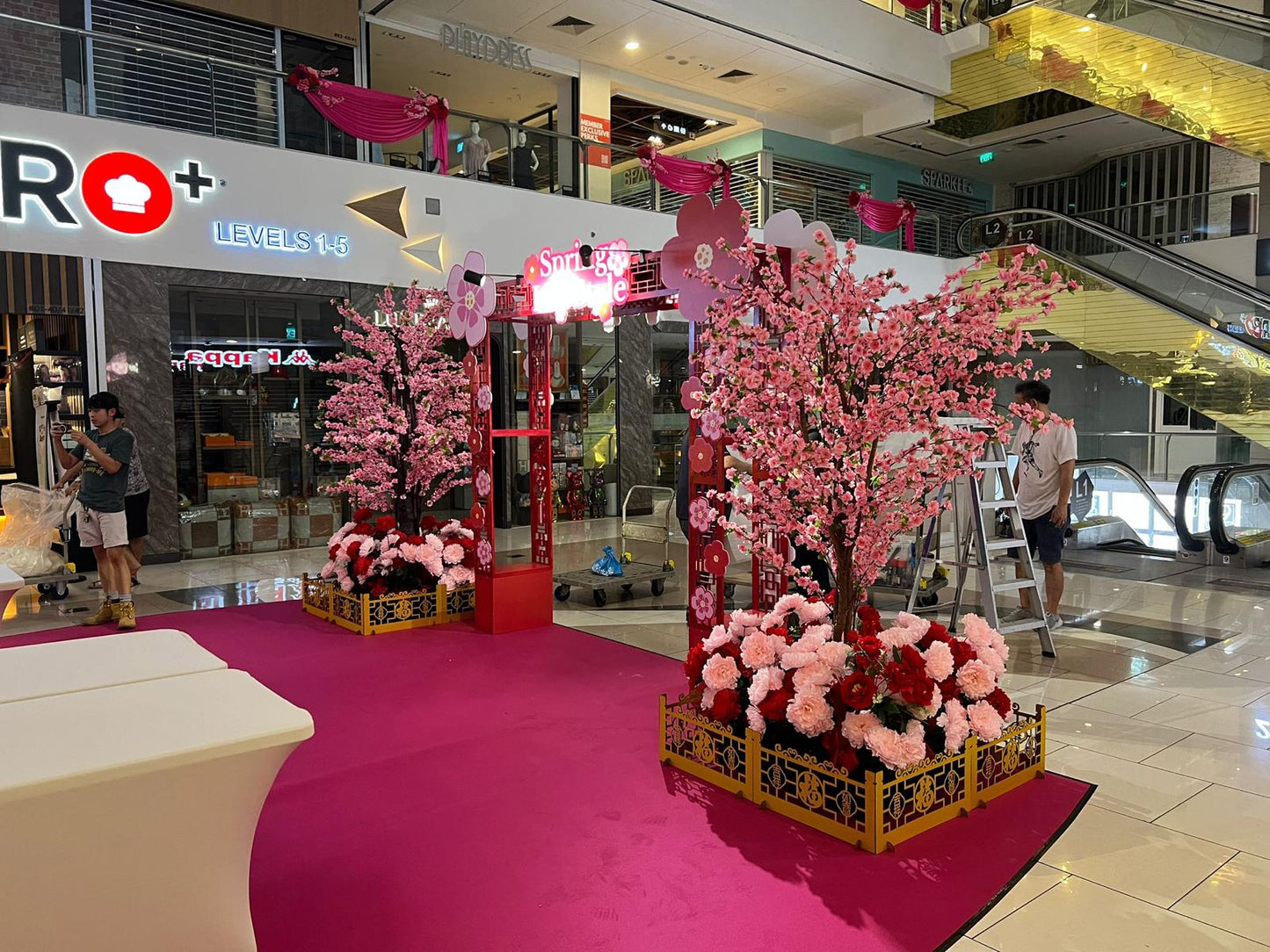 Blossom Tree