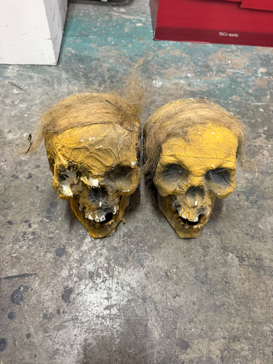 Mummified Skull