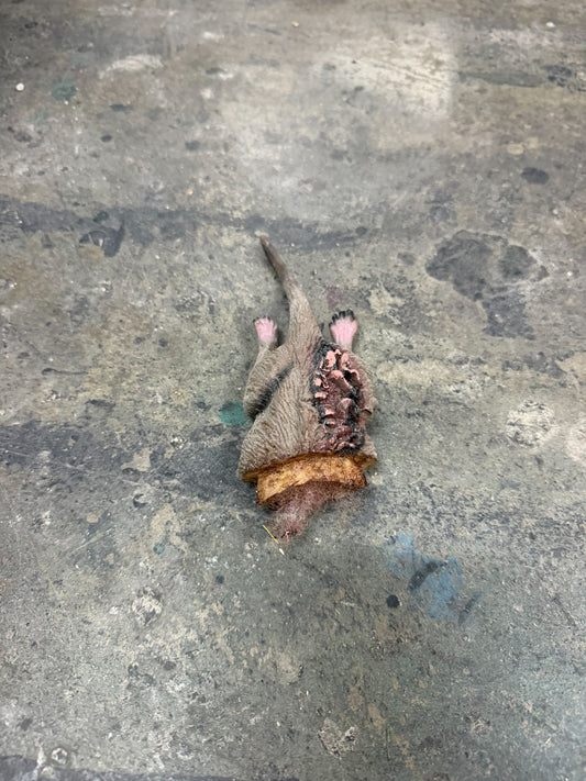 Severed Rat