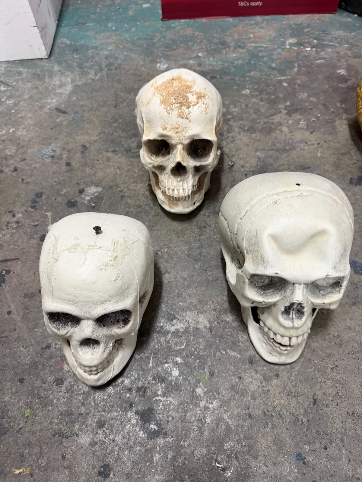 Skull 3